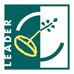 leader